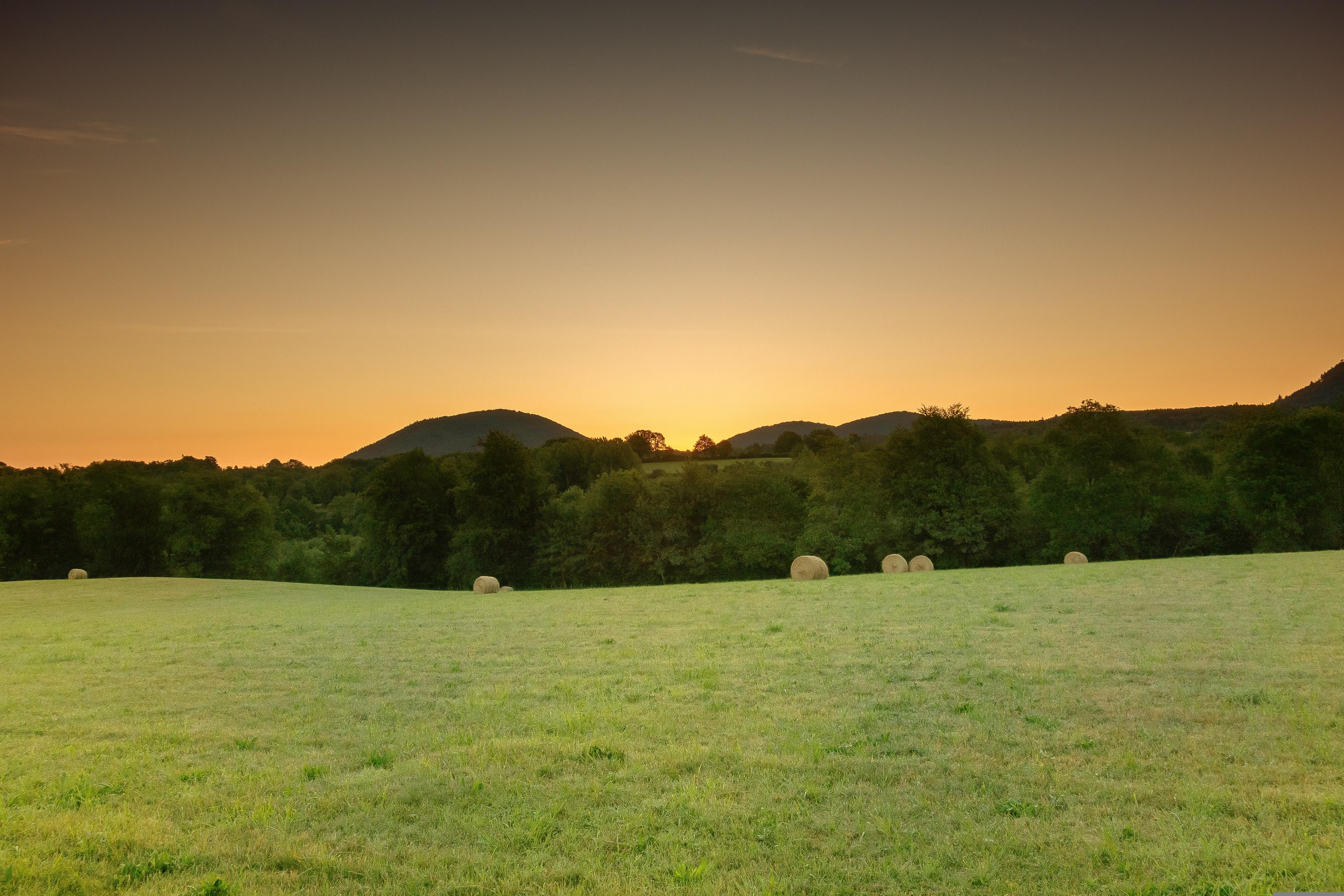 Image de champ sur fond de coucher de soleil