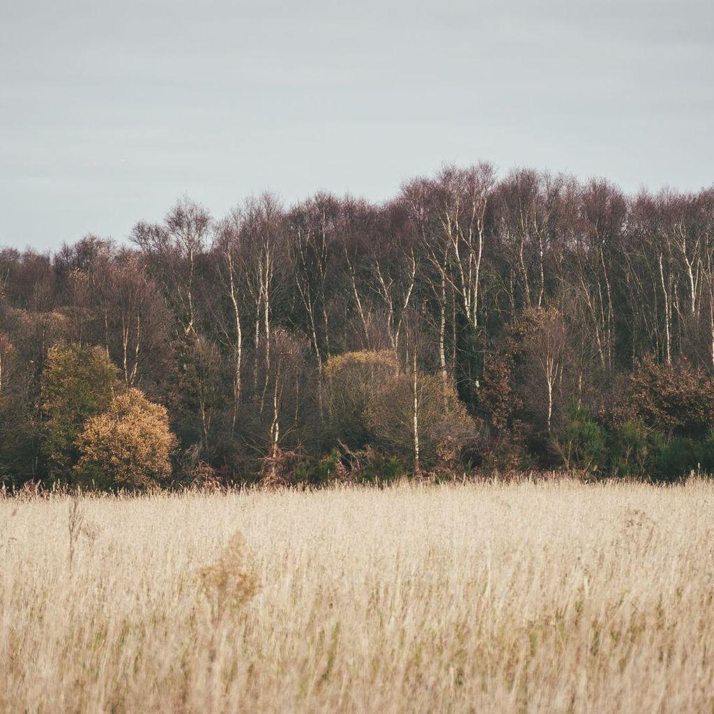 Image projet