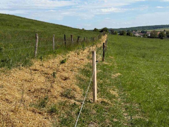 Image projet